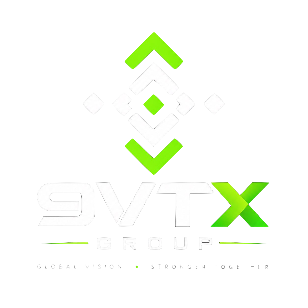 9VTX Logo